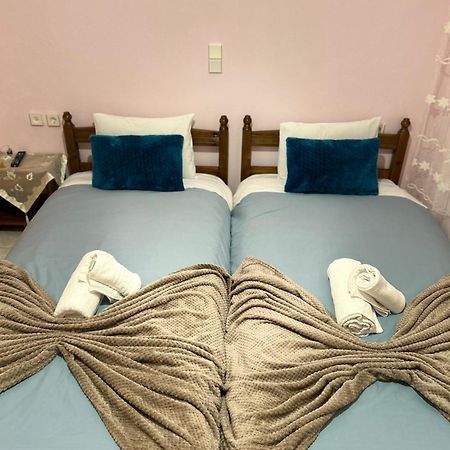 Karpouzis Guesthouse Víkos Dış mekan fotoğraf