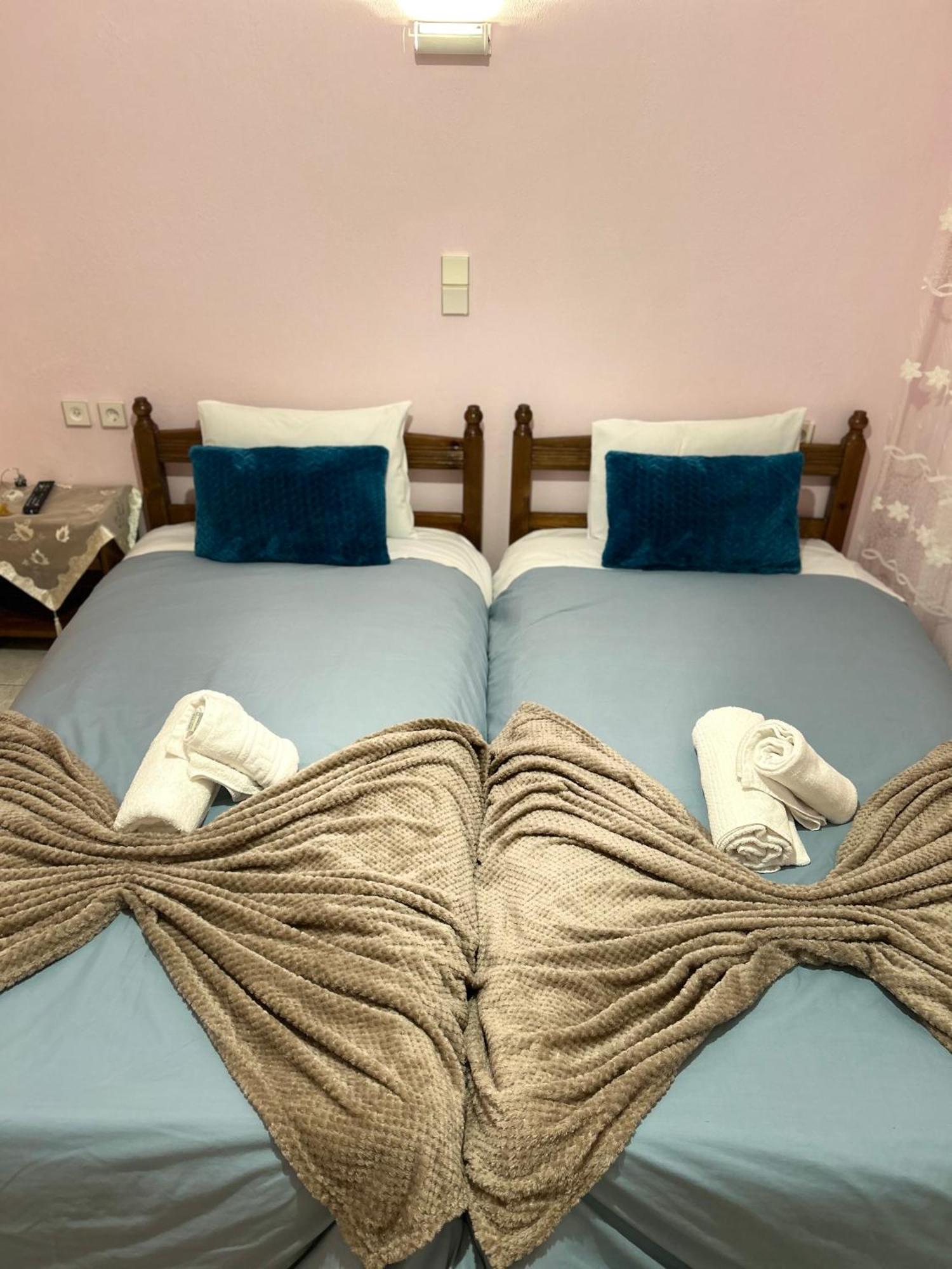 Karpouzis Guesthouse Víkos Dış mekan fotoğraf